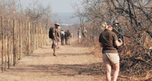 voyage-ecotourisme-afrique-du-sud-protection-animaux-sauvages