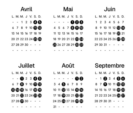 calendrier sortie en mer bassin d'Arcachon en gironde pour voir les dauphins
