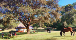voyage-decouverte-culture-kenya-evasion-ecotourisme